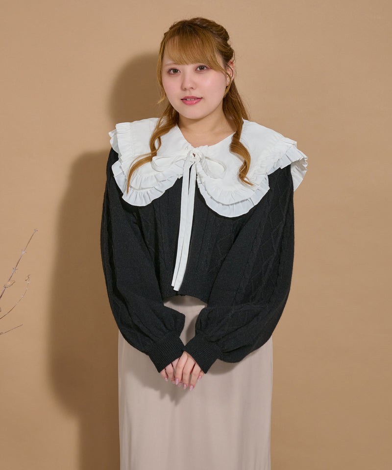 【予約商品】FRILLS FALSE COLLAR/フリル付け襟