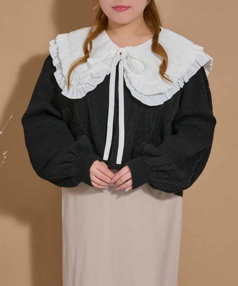 【予約商品】FRILLS FALSE COLLAR/フリル付け襟