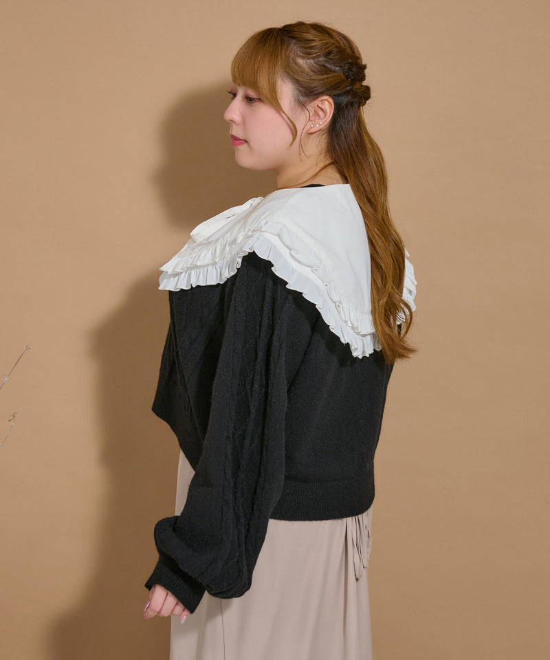 【予約商品】FRILLS FALSE COLLAR/フリル付け襟