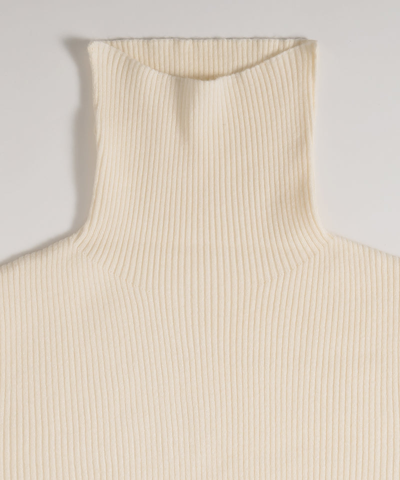 RIB TURTLE NECK KNIT