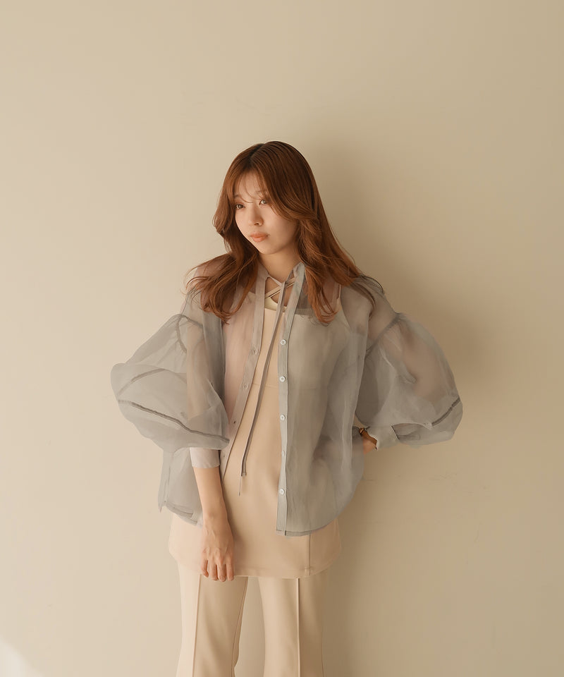 organdy sheer shirt  / オーガンジーシアーブラウス