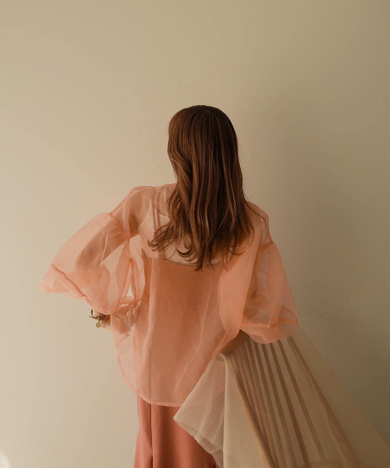 organdy sheer shirt  / オーガンジーシアーブラウス